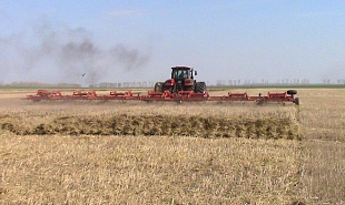 Борона пружинная БП-21