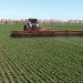 Борона ротационная БР-12